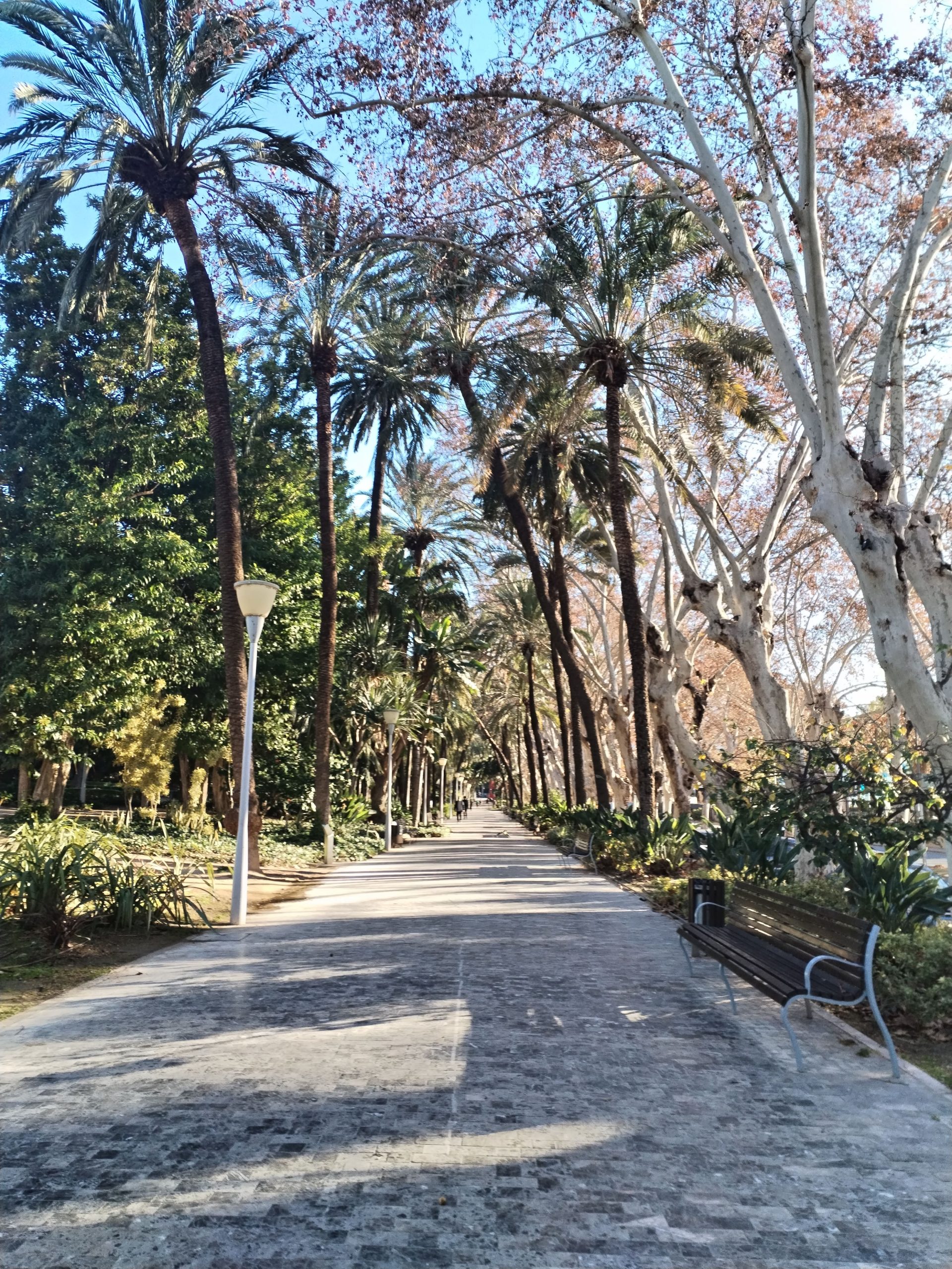 giardino motanico della città di Malaga. Passaggio pedonale circondato da piante tropicali.