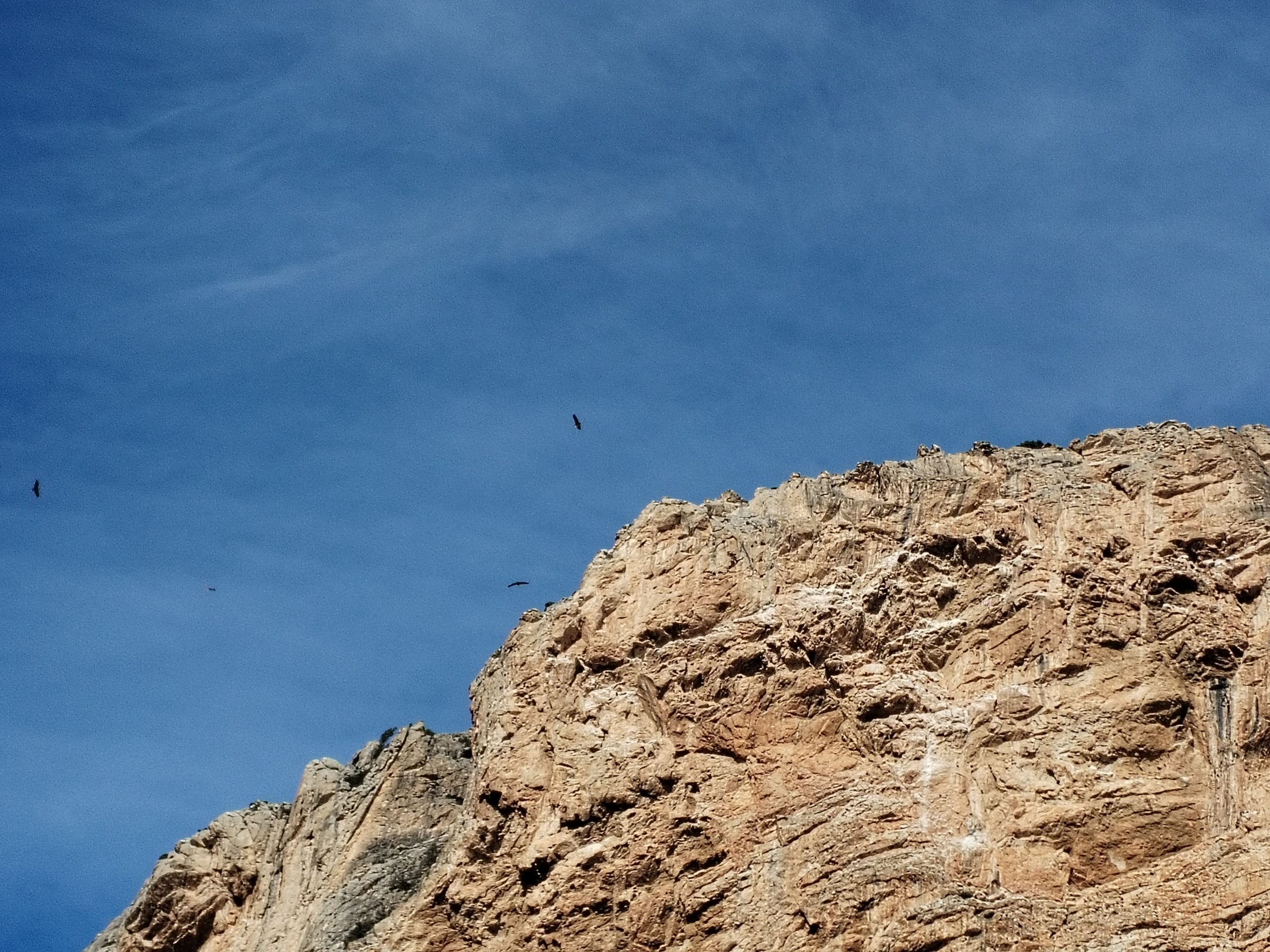 aquile che volano nel cielo azzurro sopra le rocce del caminito del rey